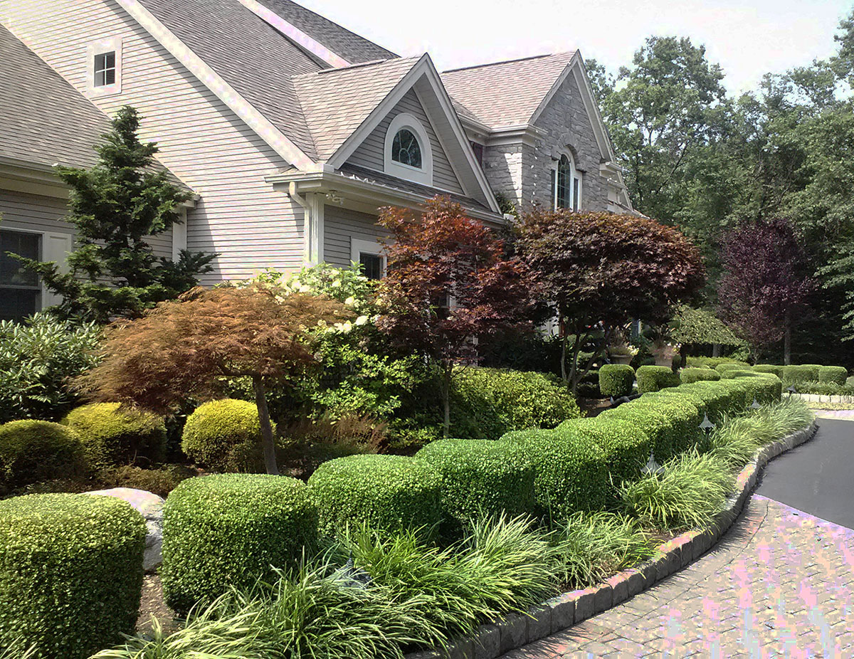 Front Planting
