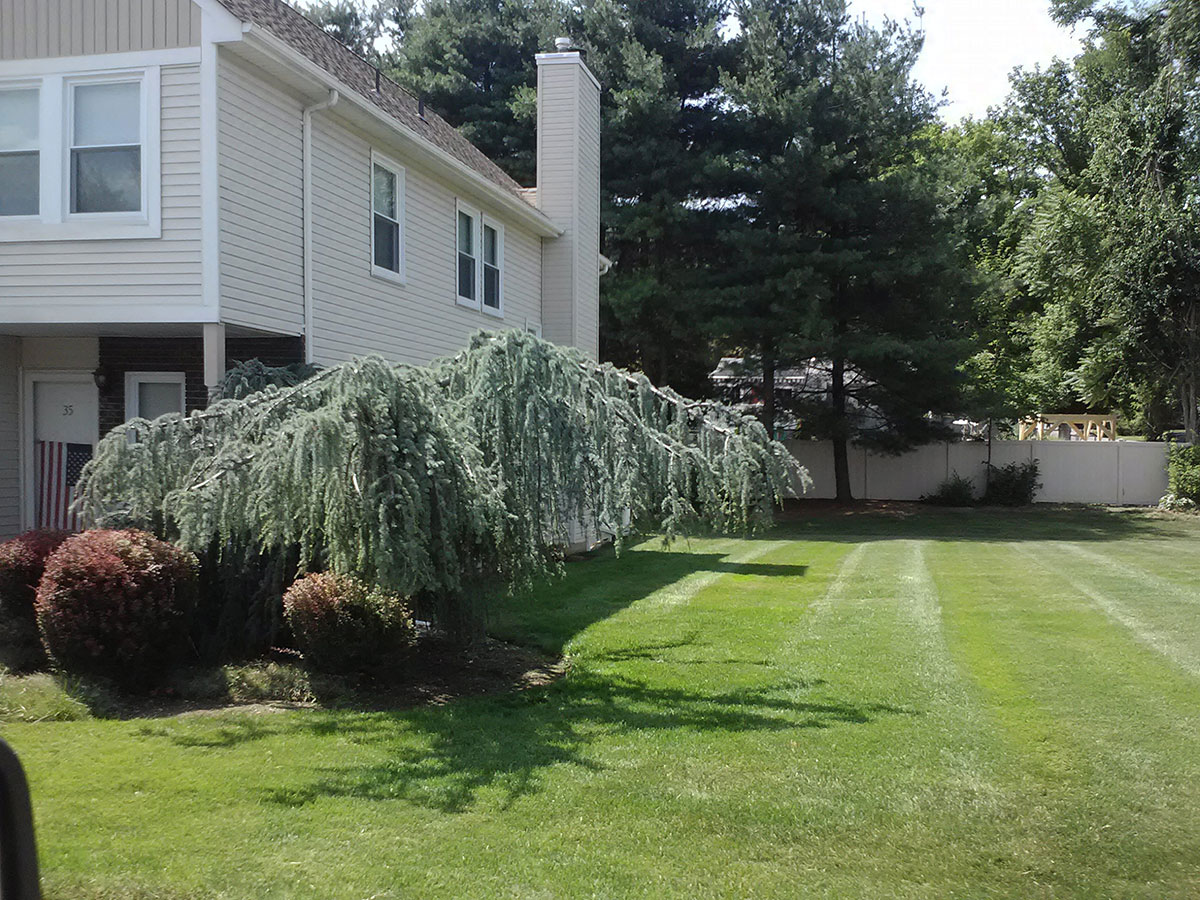 Heritage side yard