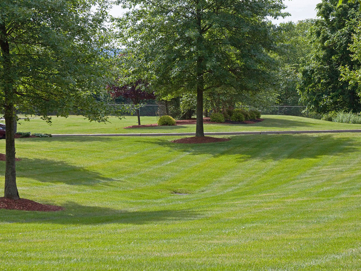 Metal Front Lawn