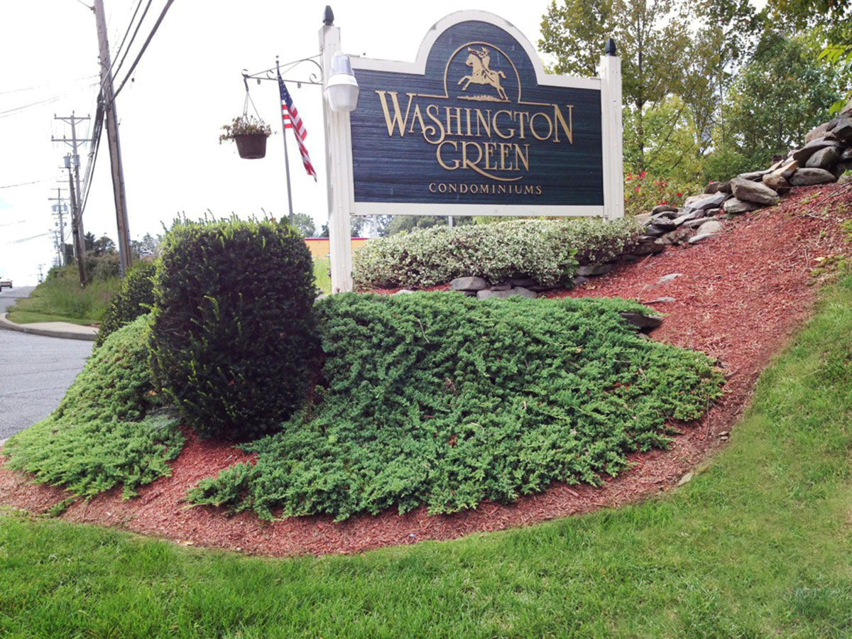 Washington Green