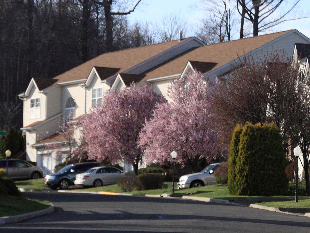 Windsor Crest Spring photo A