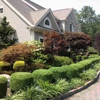 Front Planting