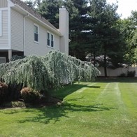 Heritage side yard