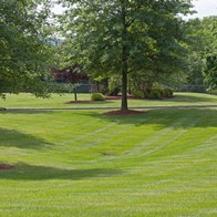 Metal Front Lawn