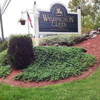 Washington Green